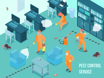 Isometric illustration of a pest control service, showcasing marketing strategies to enhance business growth in pest management.