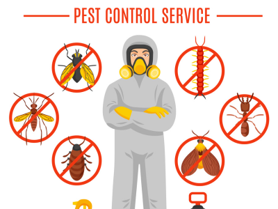 A professional pest control technician applying treatments to eliminate pests in a residential area, ensuring a pest-free environment.