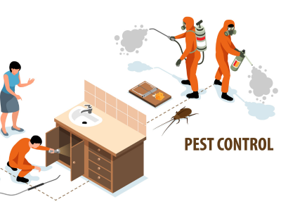 Visual representation of pest control services, focusing on lead generation techniques through Instagram marketing.